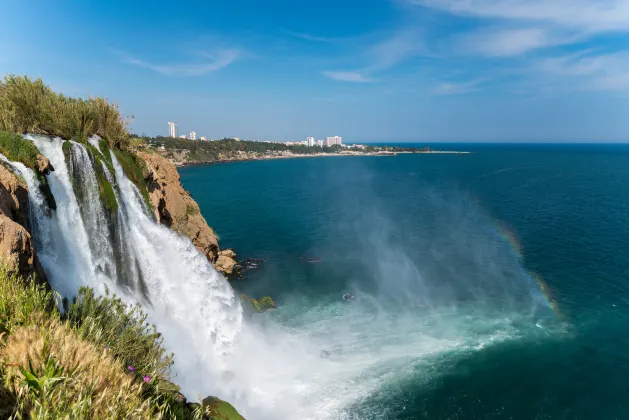 Отзывы об отеле Olbia Hotel