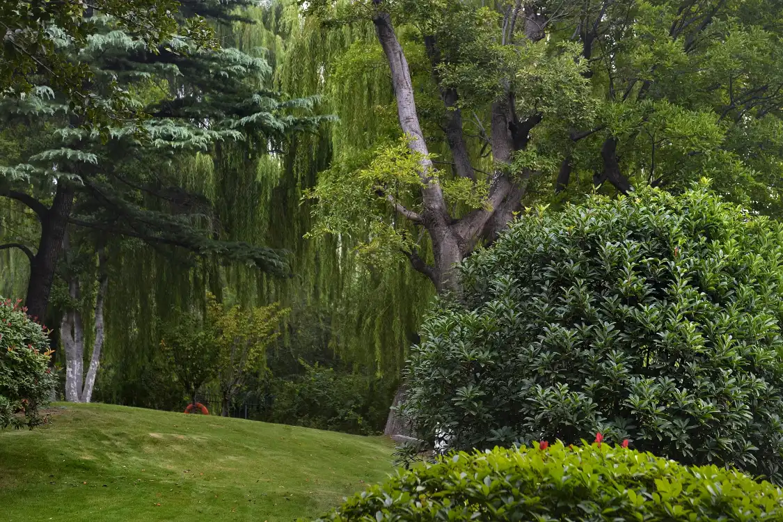 Hotels near Fort George Park