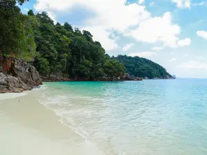 Jungle Beach