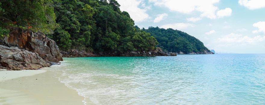 Jungle Beach