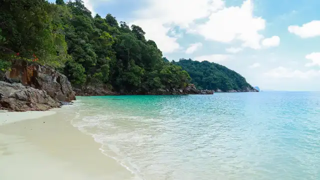 鄰近叢林海灘的酒店