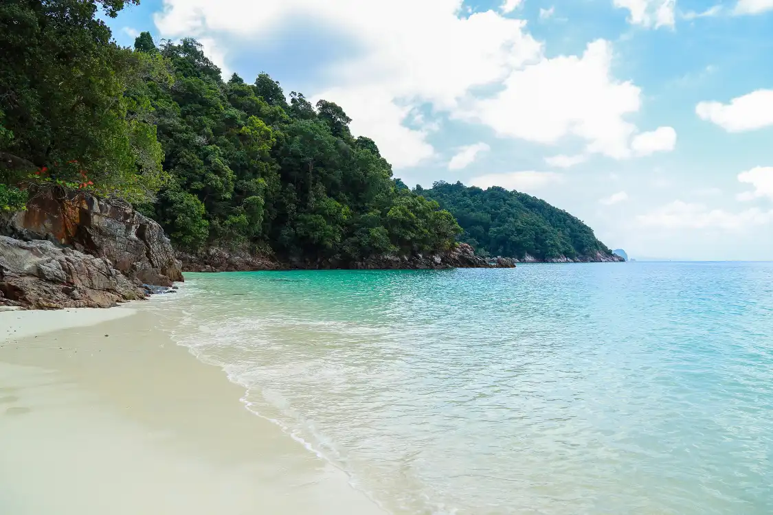 Hotels near Jungle Beach