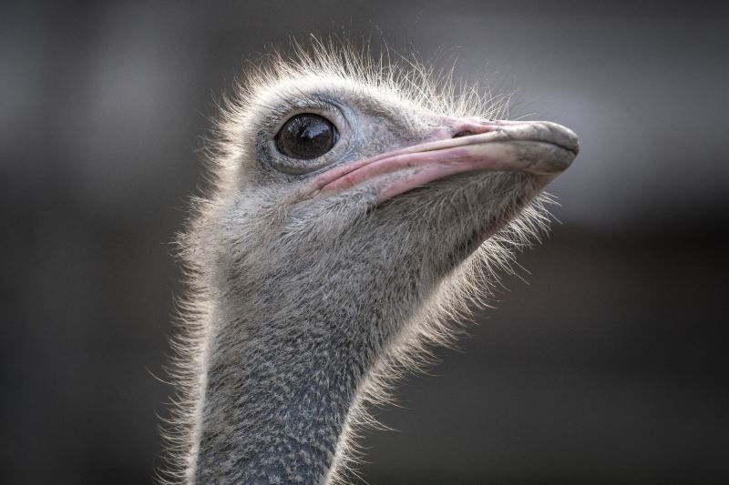 川東生態動物園