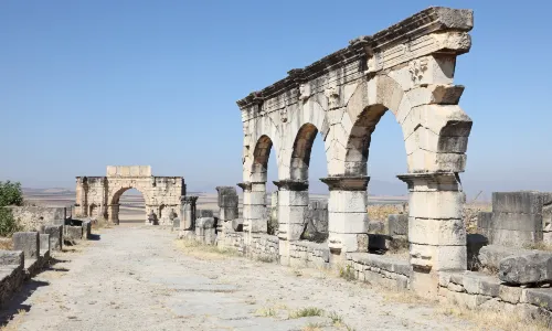 Site Archéologique de Volubilis