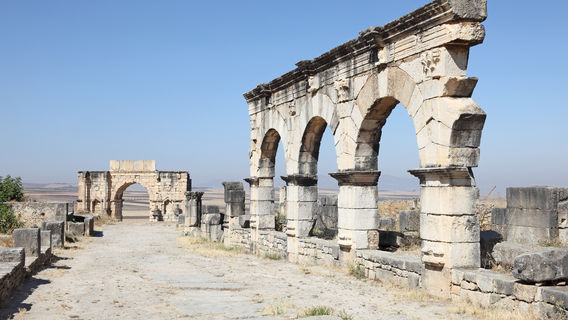 Site Archéologique de Volubilis