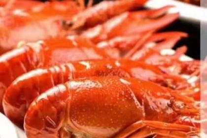 普洱梅子湖度假酒店·餐厅