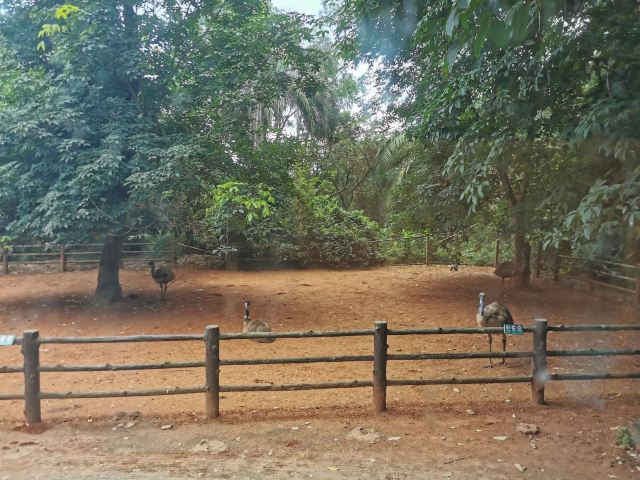 Hainan Tropical Wildlife Park