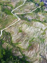 Longji Ancient Zhuang Village