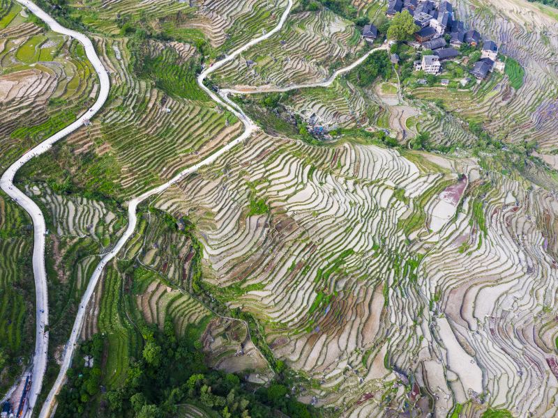 Longji Ancient Zhuang Village