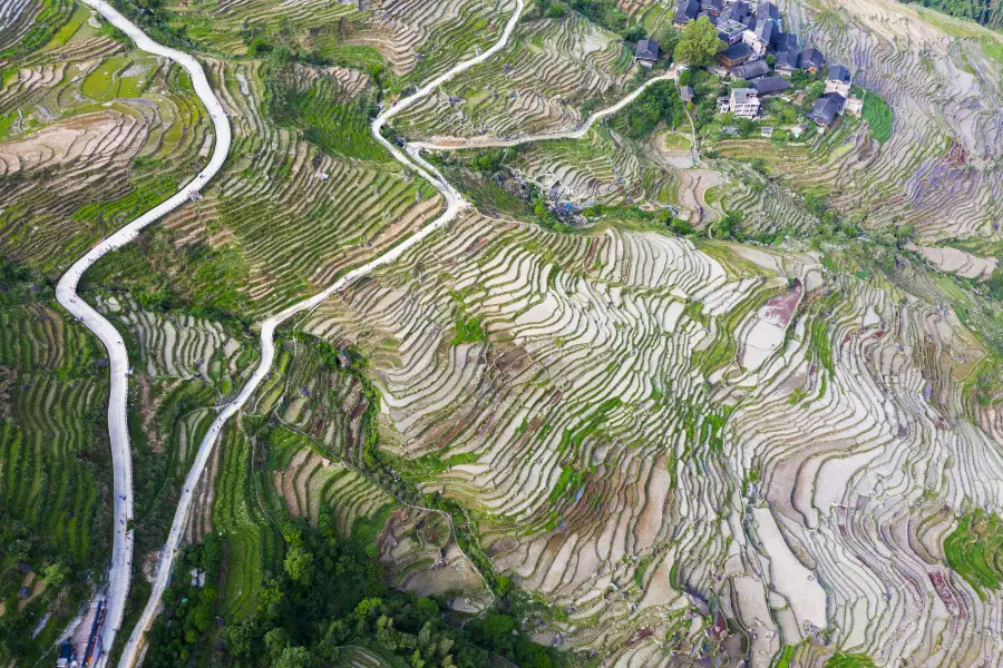 Longji Ancient Zhuang Village