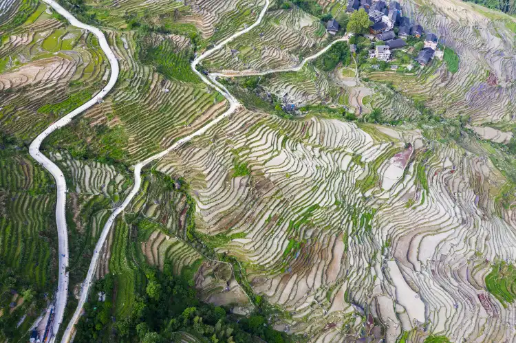 Hotels near Longji Ancient Zhuang Village