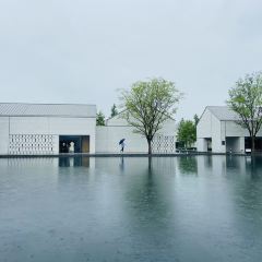 阿丽拉酒店三白酒吧 User Photo