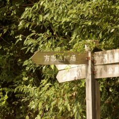 Tempura Kondo User Photo