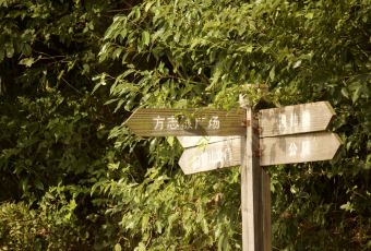 天婦羅近藤用戶圖片