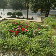Shang Palace User Photo