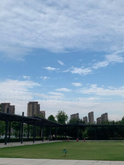 Zhengxin Park