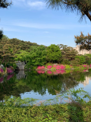 盆唐中央公園