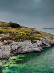 Dalian Black Rock Reef