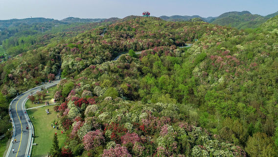 Bailidujuan Gamu Sceneic Area