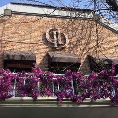 Spring Restaurant 여행 사진