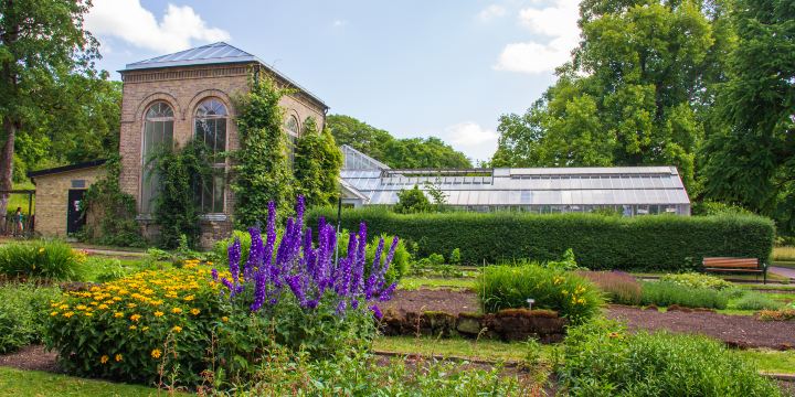 Botanical Garden