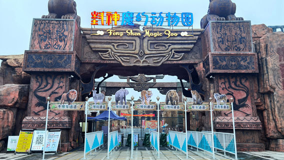 Linquan Magic Zoo