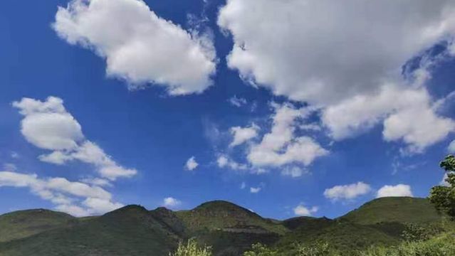 miao feng ying tao chen jin ying di