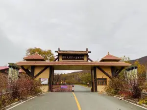 Dadingzi Forest Park