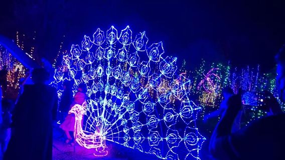 Daoyuan National Wetland Park