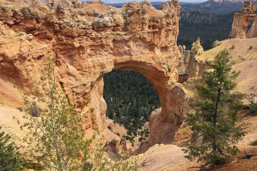 Natural Bridge