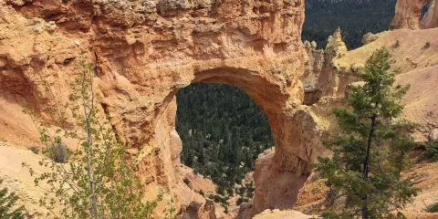 Natural Bridge