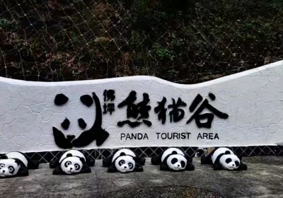 漢中佛坪大熊貓保護區