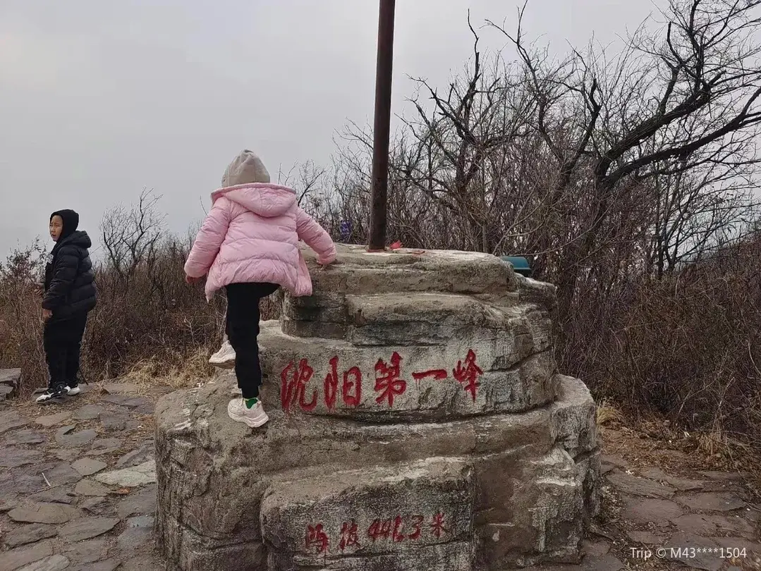 3_Shenyang National Forest Park