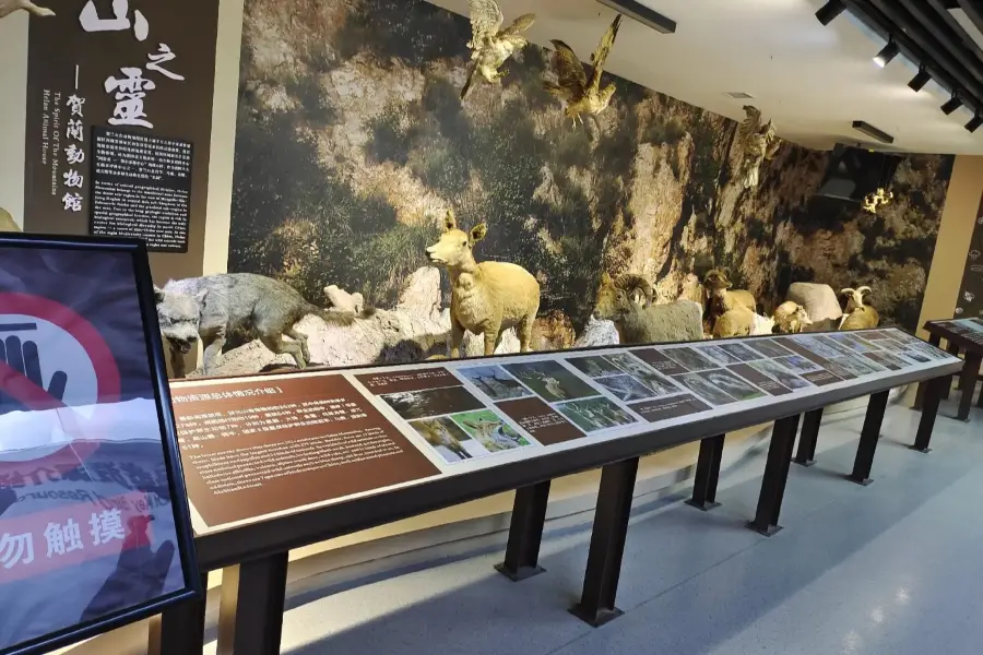 賀蘭山自然博物館