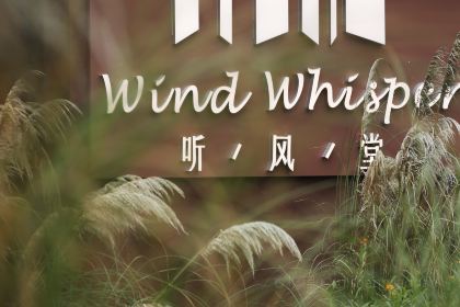 邛崃泉水湖梦马岛森系木屋·听风堂