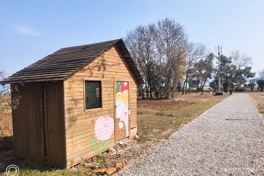 エネルギー植物区