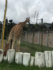 Zoológico Municipal ‘Orillas del Zamora’, Loja