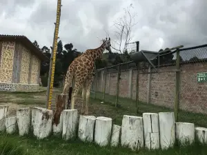 Zoológico Municipal ‘Orillas del Zamora’, Loja