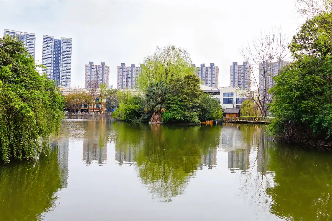 Hotels near Swan Lake