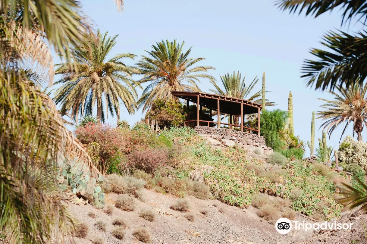 4_Fuerteventura Botanical Garden