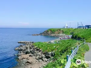 Cape Nosappu