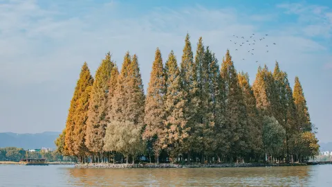 Shaoxing Keyan Scenic Area attraction in Shaoxing