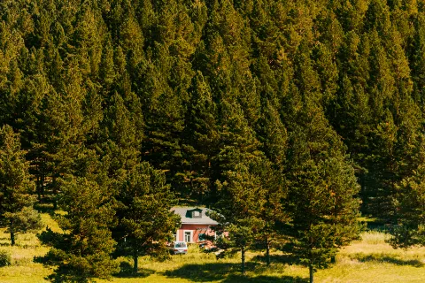 홍화얼지 장자송 국가삼림공원