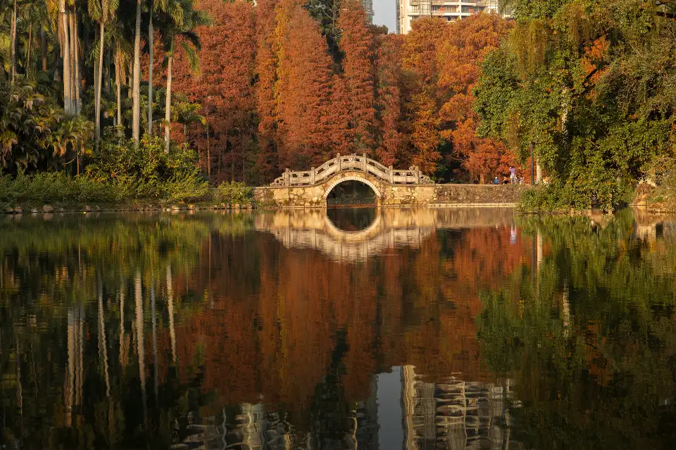 3_South China Botanical Garden, CAS