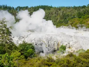 Te Puia - Rotorua, NZ