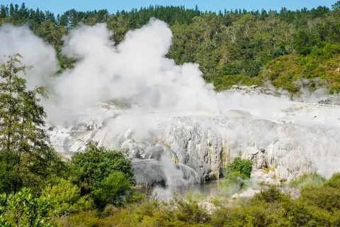 Te Puia - Rotorua, NZ