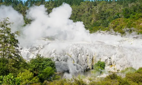 Te Puia - Rotorua, NZ