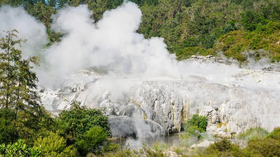Te Puia - Rotorua, NZ