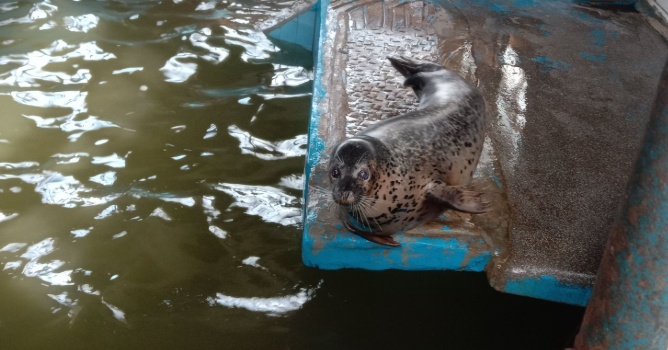 Fushun Zoo