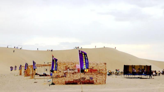 Jinta Desert Populus Euphratica Forest Scenic Area - Desert Camping Area